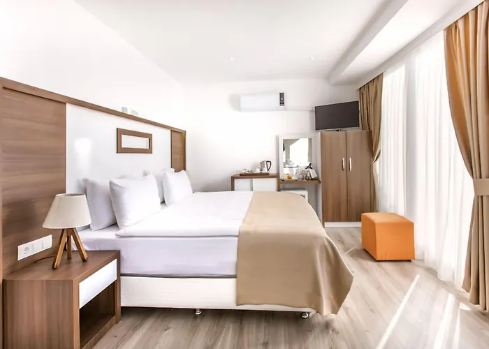Demir Hotell 3*